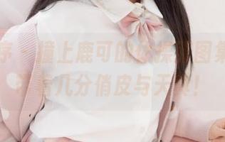少女秩序 – 撞上鹿可的体操服图集，资源带着几分俏皮与天真！