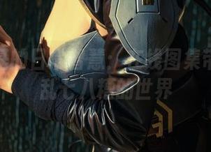 秋和柯基的日常智慧：在线图集带你走入乱七八糟的世界